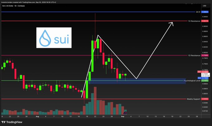 A TradingView chart of SUI/USD on Coinbase shows the cryptocurrency holding steady at a critical weekly support level around $0.6900, with technical analysis lines suggesting a potential bounce toward $0.9400 resistance. The "sui" logo is displayed alongside green candles confirming the post's observation that SUI is indeed green at this major support zone where significant investment was made.