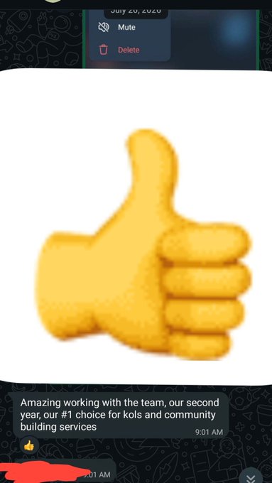 A chat screenshot showing a large 3D yellow thumbs-up emoji/sticker, with a message below reading 'Amazing working with the team, our second year, our #1 choice for kols and community building services' sent at 9:01 AM.