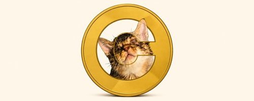 A golden coin featuring a cat's face in the center design, representing the $CATE token being given away in a promotional giveaway worth $600 to three winners.