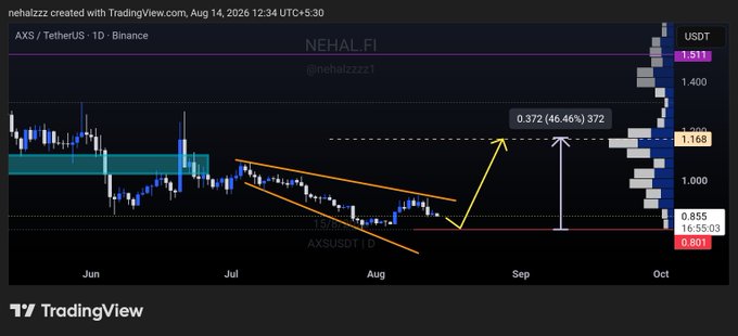 A TradingView daily chart of AXS/USDT on Binance shows the price consolidating near the $0.80–$0.85 support zone at the bottom of a descending wedge pattern, with an annotation projecting a breakout target of $1.168 (approximately +46% upside) labeled "0.372 (46.46%) 372" by user nehalzzz. The chart visually supports the post's bullish thesis of a potential wedge breakout toward the $1.16 resistance level.