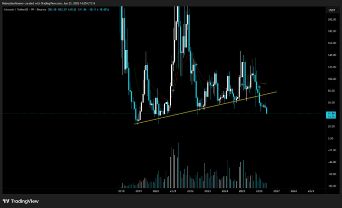The image features a stock chart that displays the price movement of Litecoin, a cryptocurrency, over time. The chart has blue and white lines that represent the rise and fall of Litecoin's value. There is also an explanation below the graph providing context on why the price of Litecoin has been consistently decreasing since 2013. This information suggests that the price of Litecoin might not be able to recover due to its history, possibly indicating a negative trend or instability in the cryptocurrency market.