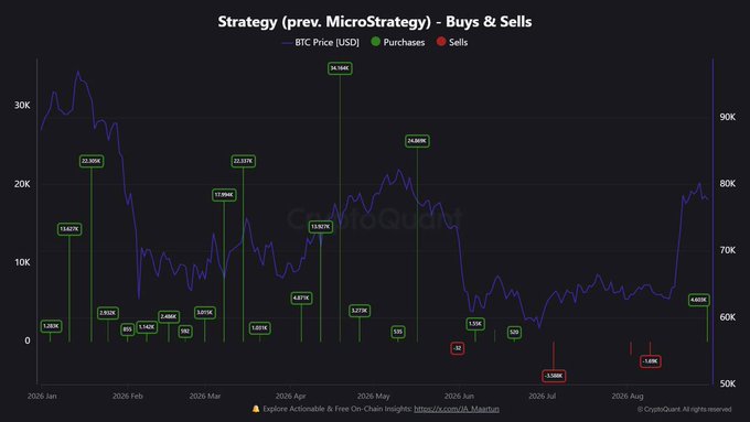 The image is a chart titled "Strategy (prev. MicroStrategy) - Buys & Sells" showing Bitcoin price overlaid with MicroStrategy's (now Strategy) purchase and sale events from January 2026 through August 2026. It highlights green purchase markers (ranging from 130K to 36.5M in size) and red sell markers (4K and 5.99M), tracking the company's capital allocation actions—consistent with the post noting a recent 4,603 BTC purchase at $80,300 following earlier sales between $60,200 and $64,300.