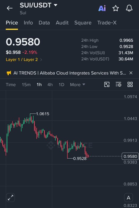 A Binance price chart for SUI/USDT showing a current price of 0.9580, down 2.19%, with a 24-hour range between 0.9528 and 0.9965.