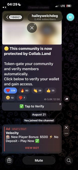 A Telegram channel screenshot showing 'haileywelchcheg' community protected by Collab.Land, with an ad for 'Velocity' bot offering $500 new player bonus.