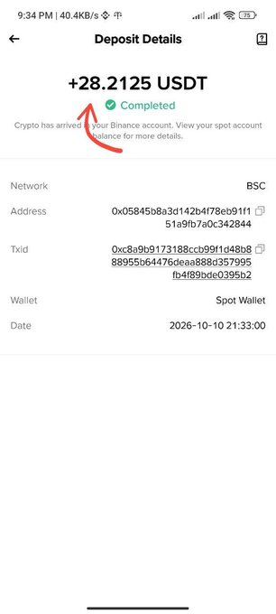 A screenshot of a completed cryptocurrency deposit showing "+28.2125 USDT" credited to a BSC wallet address with transaction details dated 2026-10-10, highlighted with a red arrow pointing to the payout amount as proof of the claimed earnings.