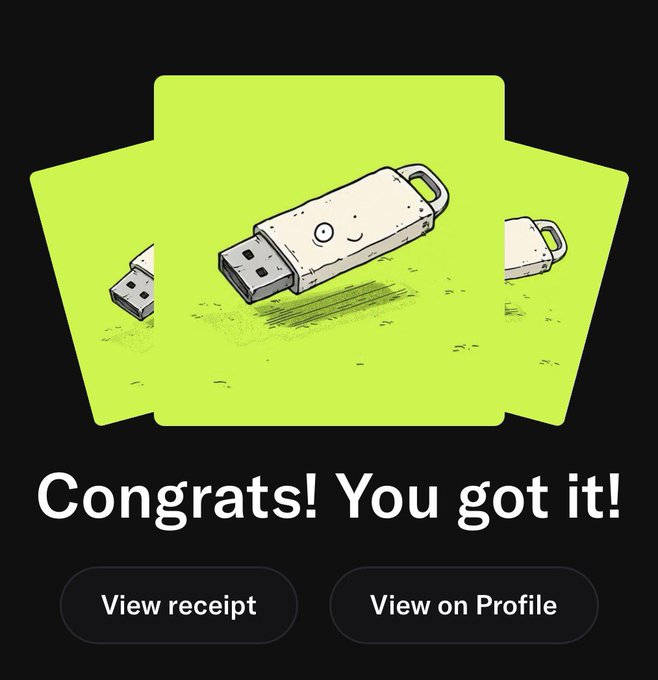 A congratulatory message on a black background with three green square cards featuring cartoon USB flash drive illustrations, with text reading 'Congrats! You got it!' and buttons for 'View receipt' and 'View on Profile'.