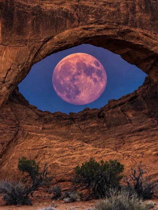 A pink full moon framed through a large natural rock arch in a red sandstone canyon, with desert shrubs and brush visible in the foreground.