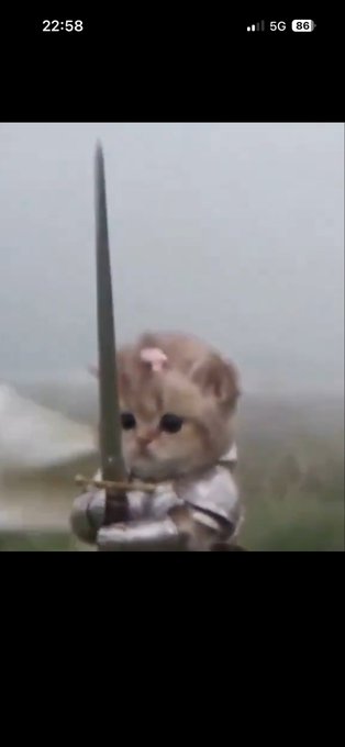 A meme-style image showing a small kitten in medieval knight armor holding a sword, with a phone status overlay reading "22:58", "5G", and "86".