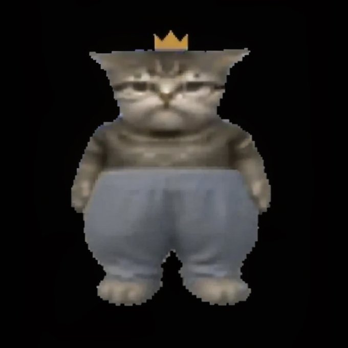 A humorous digital meme featuring a grumpy-looking cat wearing an oversized pair of blue jeans/pants, with a small golden crown emoji floating above its head against a black background.