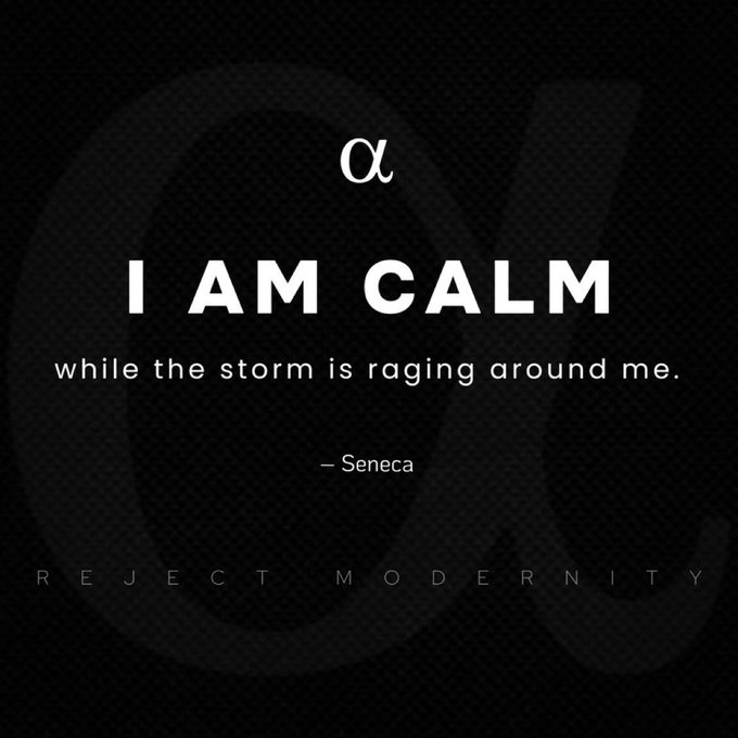 The image features a quote from Seneca, written in black text against a black background. The quote reads "While the storm is raging around me." This quote seems to be related to the concept of staying calm during difficult times or challenging situations. The image also includes an arrow pointing towards the quote and the words "Project Modernity" below it.