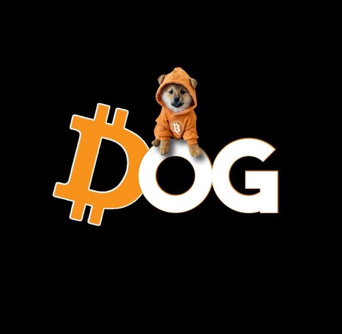 A Shiba Inu dog wearing an orange Bitcoin-themed hoodie, posed above the 'DOG' cryptocurrency logo with a Bitcoin symbol on a black background.