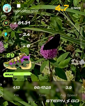 The image shows a fitness tracking app with a purple flower, which appears to be a butterfly, as its main focus. The app displays information about the user's walking speed and distance traveled during their walk.