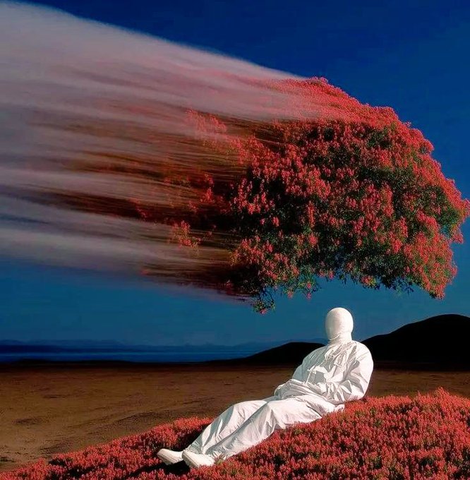 The image features a white mannequin dressed in a white suit sitting under a tree with red flowers, possibly a fake one. The scene takes place outdoors, with a body of water visible in the background. The image also contains text that reads "Privacy meets verifiability. @TheARCTERMINAL is building a future where AI actions stay private, yet fully provable." This suggests that there might be an artistic or creative project related to AI and privacy, possibly involving a mannequin dressed as a person with AI capabilities.
