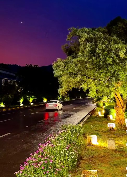 A nighttime scene of a wet road with a car driving away, illuminated by decorative lights along the roadside beneath trees, with a purple twilight sky.