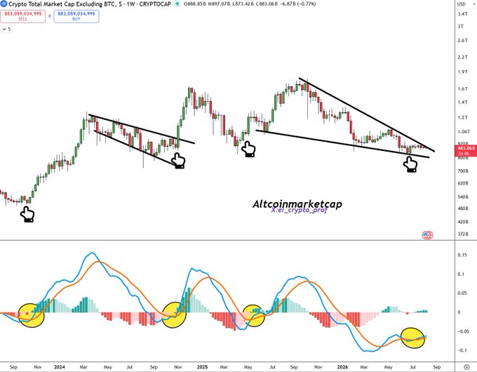 A financial chart titled 'Crypto Total Market Cap Excluding BTC' from CRYPTOCAP, displaying price action with descending trendlines and pointing hand icons marking bearish patterns, watermarked 'Altcoinmarketcap xei_crypto_pro'.