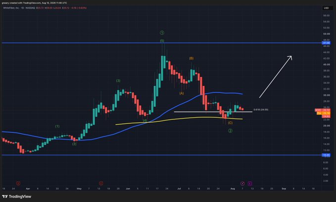 A TradingView chart of Wintrust, Inc. (Nasdaq: WTFI) on the daily timeframe as of August 24, 2025, showing Elliott Wave annotations with (1)-(5) waves, an A-B-C corrective pattern, and a white upward arrow pointing toward the $50 resistance zone, illustrating the bullish setup referenced in the "$WYFI cheat code" comment.