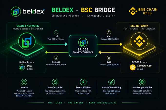 An infographic titled 'BELDEX - BSC BRIDGE' with the tagline 'Connecting Privacy, Expanding Utility', illustrating a four-step process for bridging BDX tokens between the Beldex Network and BSC Network using a Bridge Smart Contract, with icons noting BNB CHAIN (BSC).