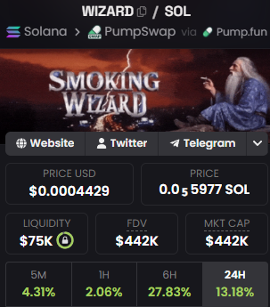 A cryptocurrency tracker screenshot for the WIZARD/SOL token on Solana, accessed via Pumpswap and Pump.fun, showing a price of $0.0004429 (0.0$5977 SOL), a market cap of $442K, and 24-hour gains of 13.18%, which the poster references as their latest meme coin purchase with a growing community.