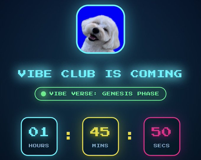 A digital countdown timer for the 'VIBE CLUB IS COMING' with a 'VIBE VERSE: GENESIS PHASE' banner, showing 01 hours, 45 minutes, and 50 seconds remaining beneath a logo of a white dog.