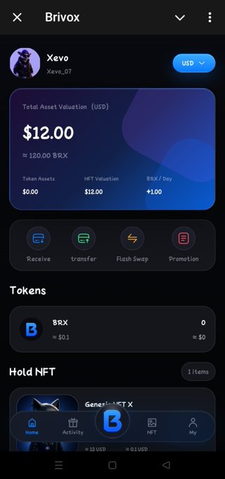 A screenshot of the Brivox app displays a wallet for user 'Xevo' showing a total asset valuation of $12.00 USD (120.00 BRX).