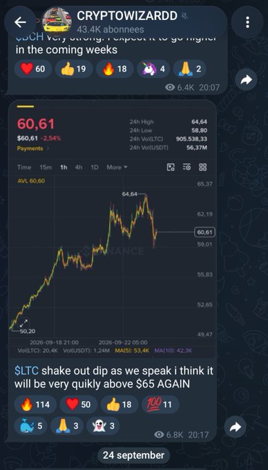 The image is a screenshot of a Telegram post from "CRYPTOWIZARDD" showing $LTC/USDT trading charts from Binance, with prices around $60.61 (down 2.54%) and a caption "$LTC shake out dip as we speak i think it will be very quikly above $65 AGAIN." The post highlights the cryptocurrency analyst's call that the dip was a temporary shakeout before a potential rally above $65, with the chart visualizing the sharp price drop followed by recovery, supporting the claim of calling the bottom.