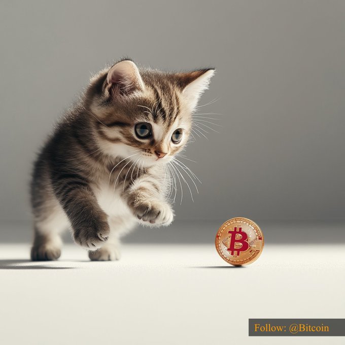 A tabby kitten cautiously approaches a Bitcoin coin standing upright on the floor, visually symbolizing Bitcoin's current price of $63,587.58. The image includes a watermark reading "Follow: @Bitcoin" in the bottom right corner.