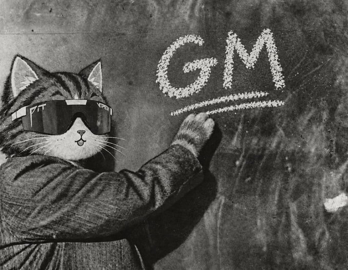 A black and white photo of a tabby cat wearing oversized VR goggles labeled 'Vros', posing as if writing the letters 'GM' (Good Morning) in chalk on a blackboard.
