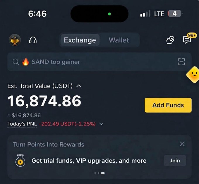 A screenshot of a Binance portfolio dashboard shows an estimated total value of 16,874.86 USDT, with today's PNL at -202.49 USDT (-2.25%), suggesting a recent portfolio update or loss reflection. The interface displays tabs for "Exchange" and "Wallet," a search bar noting "SAND top gainer," and a prompt to "Turn Points Into Rewards" for trial funds and VIP upgrades.