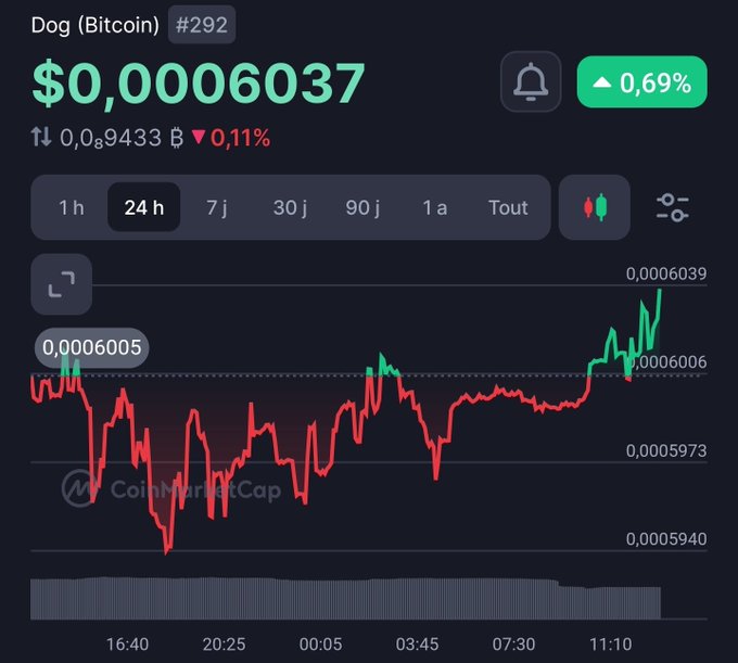 A cryptocurrency price chart from CoinMarketCap showing Dog (Bitcoin) #292 trading at $0.00006037, up 0.69%, with a 24-hour line graph displaying price fluctuations.