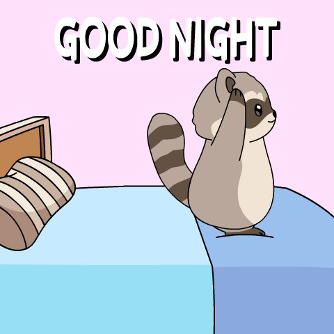 The image features a cartoon raccoon standing on top of an unmade bed, with "Good Night" written above its head. The bed has blue sheets and brown pillows. The caption below the image reads: "GN everyone and CT While the world g closer to powerful quantum computing @quipnetwork is already working on the solution building Quantum resistant security for today blockchain networks @TheARCTERMINAL is one".