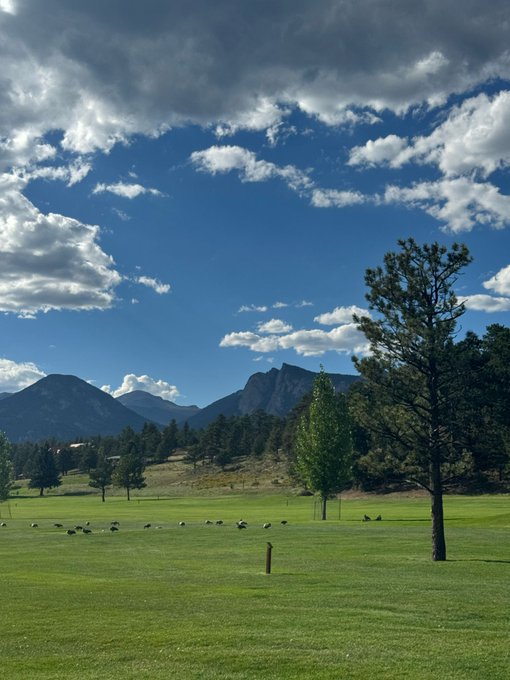 A scenic view of a golf course with green fairway in the foreground, a flock of birds grazing, scattered pine trees, and mountains in the background under a bright blue sky with scattered white clouds.