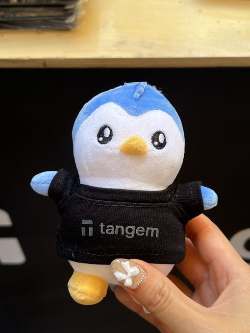 A hand holds up a plush penguin wearing a black t-shirt featuring the "Tangem" logo, representing the crypto cold wallet brand at the Korea Blockchain Week event. The cute mascot pairs well with the caption about receiving a Tangem Penguin cold wallet, likely a collaboration with Pudgy Penguins.