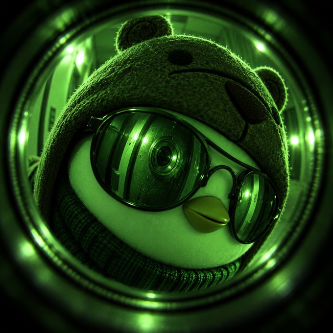A close-up of a plush toy wearing a bear-themed hat and round sunglasses, viewed through a circular lens with a green color filter creating a fish-eye effect.