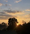 A small image showing a sunset with the sun visible through silhouetted trees beneath a sky filled with scattered clouds.