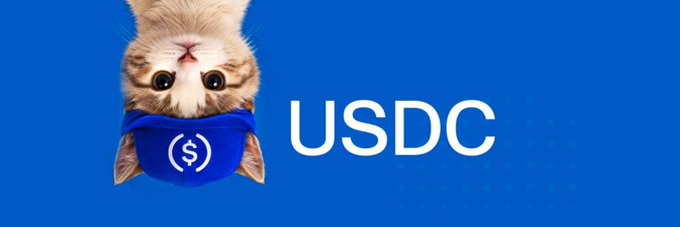 An upside-down kitten wearing a blue bandana with a dollar sign icon appears next to the text "USDC" on a blue background, visually representing the "upsidedowncat" crypto-themed mascot mentioned in the post for the USDC token on Arc.