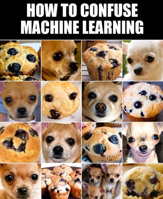 A meme titled "HOW TO CONFUSE MACHINE LEARNING" shows a grid alternating between close-up photos of blueberry muffins and chihuahuas with similar dark spot patterns.
