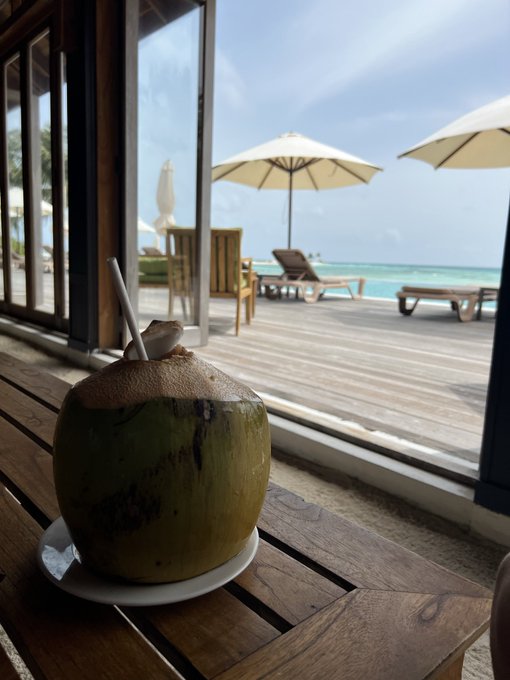 A fresh green coconut with a straw sits on a wooden table by open glass doors, overlooking a serene beach with lounge chairs and umbrellas along the turquoise shoreline. The image perfectly complements the "Gm" post, capturing a peaceful tropical morning with a refreshing drink to start the day.