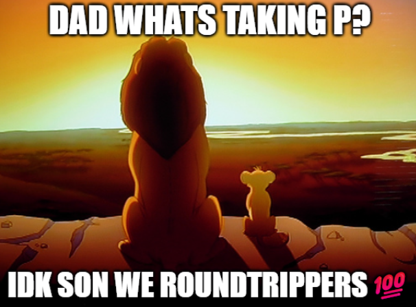 A Lion King meme showing Mufasa and Simba silhouetted against a sunset with text 'DAD WHATS TAKING P?' and 'IDK SON WE ROUNDTRIPPERS 💯'.