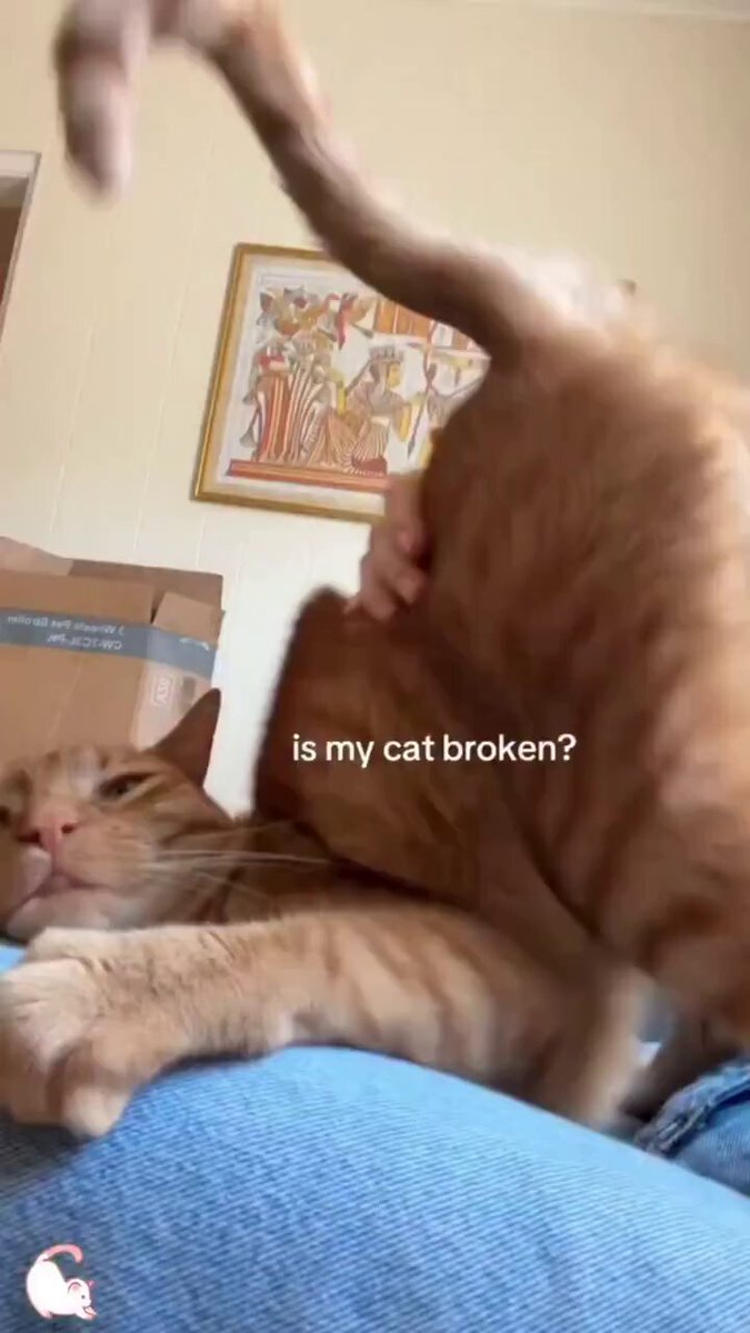 None