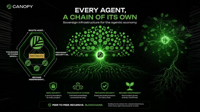 The image is a Canopy (CNPY) promotional graphic titled "EVERY AGENT, A CHAIN OF ITS OWN," presenting their sovereign infrastructure concept for an agentic economy. It illustrates how thousands of chains operate through peer-to-peer recursive blockchains, with key features highlighted: seed security, unlimited chain connections, chain-level security provision, and independence through self-sovereign evolution—directly visualizing the post's description of application-specific chains securing each other in a peer-to-peer network.