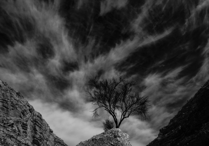 A dramatic black and white photograph of a bare tree perched on a rocky outcrop, framed by two large rock formations and an intensely cloudy sky.