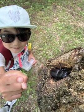 A photo of a young child wearing a light blue Transformers cap and dark sunglasses, holding a large rhinoceros beetle over a tree stump outdoors.