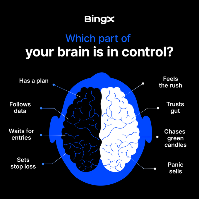 The image is a BingX-branded graphic asking "Which part of your brain is in control?" featuring a split brain illustration where the left side (black) outlines disciplined traits like "Has a plan," "Follows data," "Waits for entries," and "Sets stop loss," while the right side (white) lists impulsive behaviors like "Feels the rush," "Trusts gut," "Chases green candles," and "Panic sells" — reinforcing the post's question about whether trading is driven by logic or impulse.