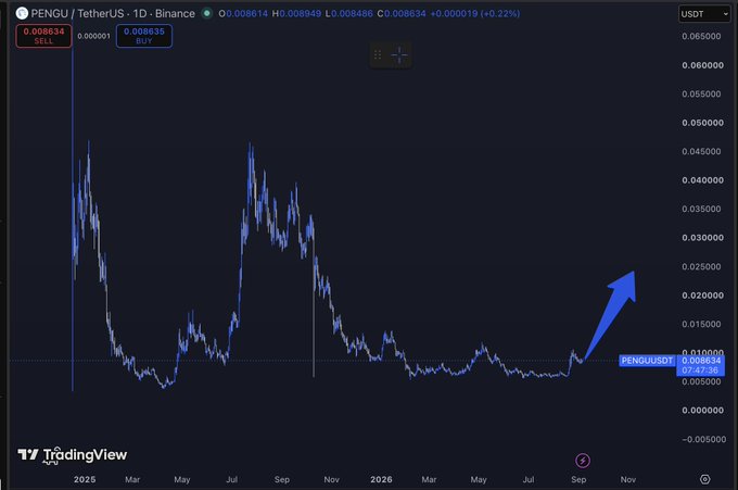 A 1-day PENGU/USDT candlestick chart on Binance showing a long-term downtrend from early 2025 highs around $0.05 to a current price of $0.008634, with a large blue arrow drawn pointing from the lows near $0.008 toward $0.025, illustrating the poster's bullish long-term thesis and intent to build a position at current levels.