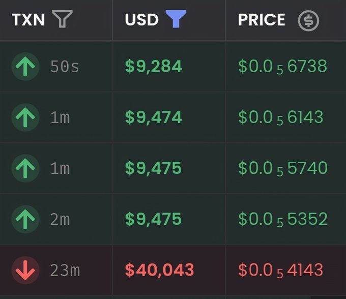 The image shows a transaction table for TXN ticker, displaying recent transactions with timestamps ranging from 50 seconds to 23 minutes ago, USD amounts ranging from $9,284 to $40,043, and prices around $0.05 per unit. All recent transactions show upward price trends except the 23-minute-old one at $40,043, which has a downward trend and lower price of $0.054143, visually illustrating the quick recovery from dips mentioned in the caption.