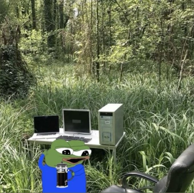 A Pepe the Frog meme holding a beer stein in a lush forest, standing next to a desk with a laptop, monitor, keyboard, and desktop tower setup.