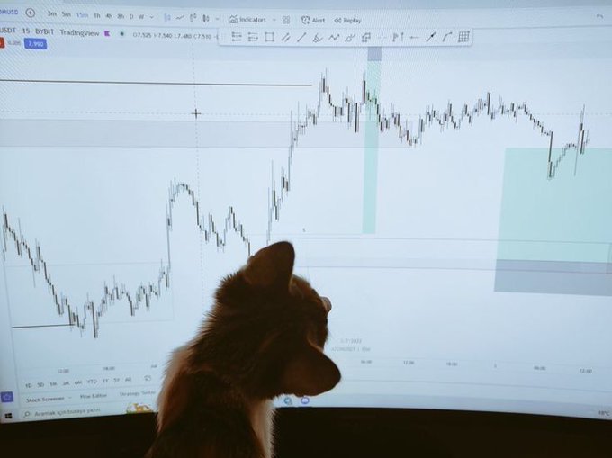 A cat sits in silhouette in front of a TradingView chart displaying the SUIUSDT pair at 17,548.17, with a 2.980 price change marked on the screen. The mood matches the post's calm yet focused vibe—reflecting a quiet, locked-in Friday as the trader studies price action for the next big move.