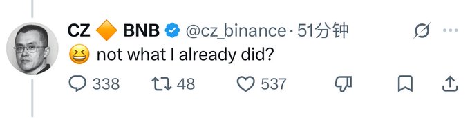 A screenshot of a tweet from CZ (Changpeng Zhao) of Binance (@cz_binance) featuring a smug emoji with the text "not what I already did?", showing 338 replies, 48 reposts, and 537 likes, reflecting his smug acknowledgment of having already accomplished the foreign capital inflow and "coin-stock model" success on BSC referenced in the accompanying post.