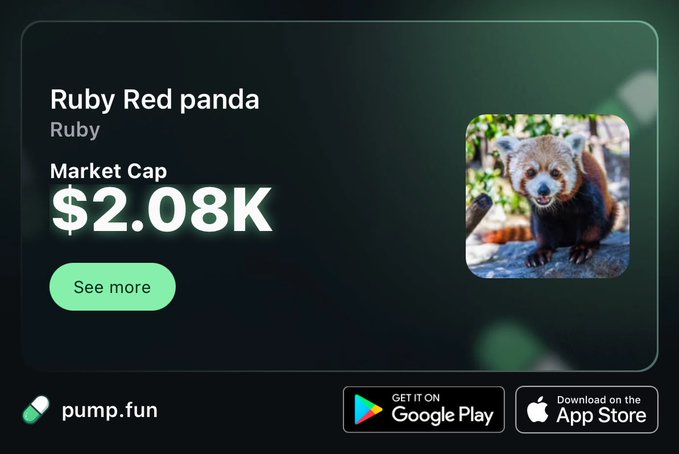 A 'pump.fun' mobile app screenshot displaying the 'Ruby Red panda' meme coin with a market cap of $2.08K, accompanied by a red panda photo and Google Play/App Store download buttons.