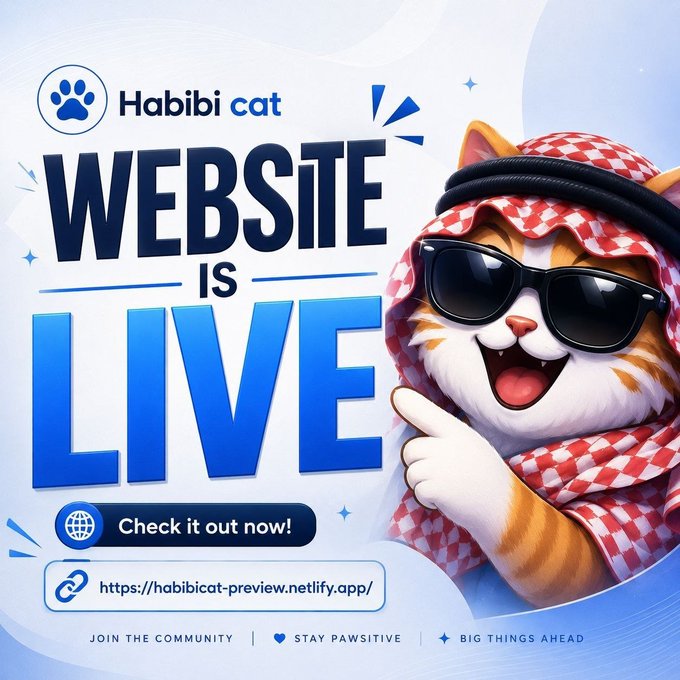 A promotional graphic for 'Habibi cat' announces 'WEBSITE IS LIVE' with a 'Check it out now!' button and a netlify.app URL, featuring an illustrated orange and white cat wearing sunglasses and a red and white checkered keffiyeh.